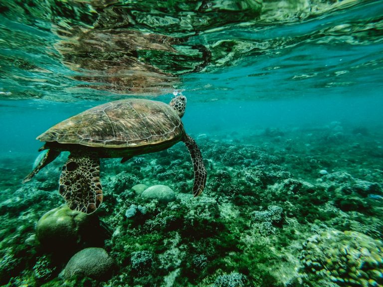 $10m to Deliver 200 Nature-Based Jobs in Reef Catchments