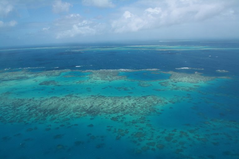 Fee relief for Cairns reef operators extended