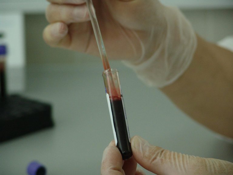 Commission of Inquiry into DNA Testing Conducted by Queensland Health Forensic and Scientific Services