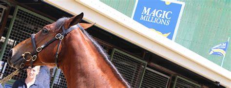 Major Magic Millions expansion revealed as 2023 edition launched